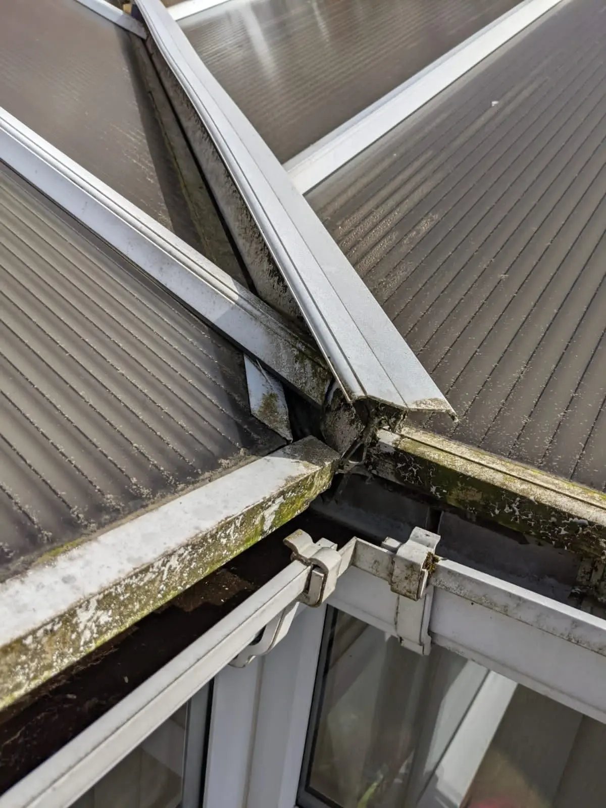 Conservatory-roof-repair-image